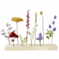 Blooming by Flinde Flowerbar Trockenblumen XL Ständer Holz