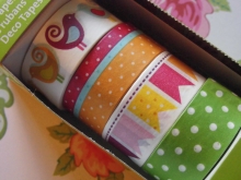 Masking Tape Set Bird Band