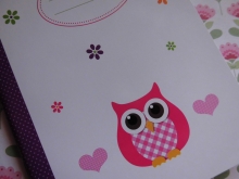 ♥ A6 NOTIZBUCH PINK OWL