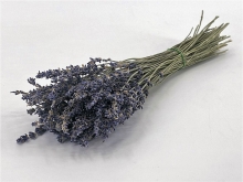 Blooming by Flinde Trockenblumen Lavendel