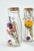 Blooming by Flinde Trockenblumen Flasche gelb
